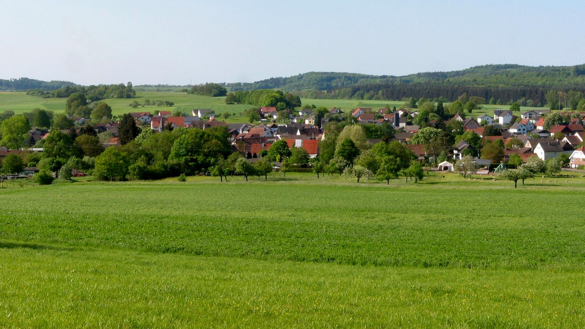 Klein-Eichen